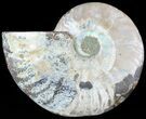 Agatized Ammonite Fossil (Half) #46536-1